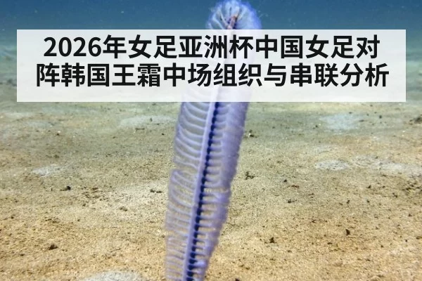 2026年女足亚洲杯中国女足对阵韩国王霜中场组织与串联分析